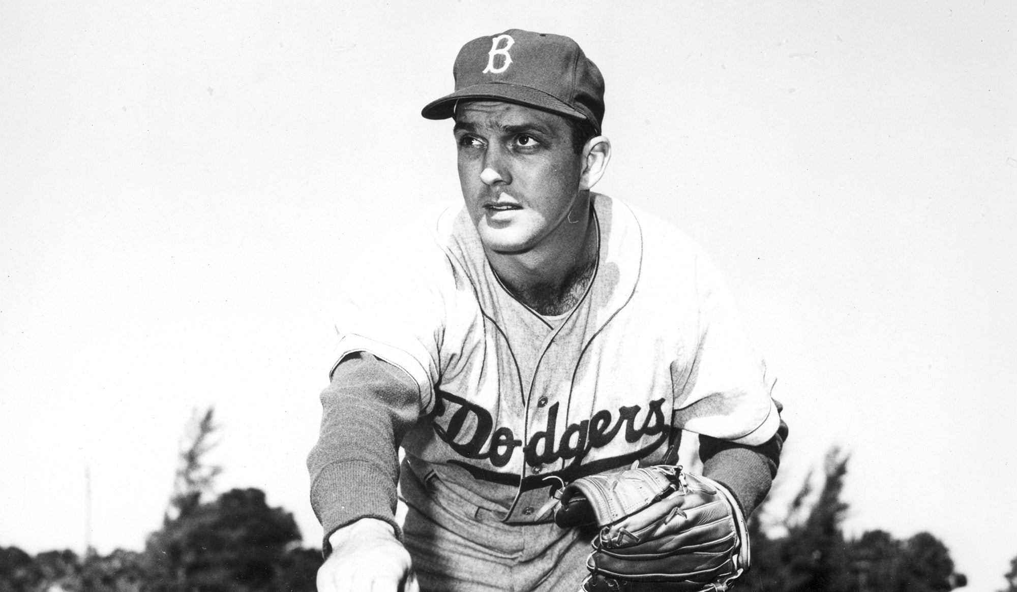 Home Baseball Hall of Fame