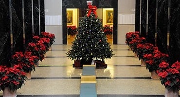 Holiday tree in Plaque Gallery