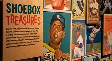 Exhibit Encounters exhibit