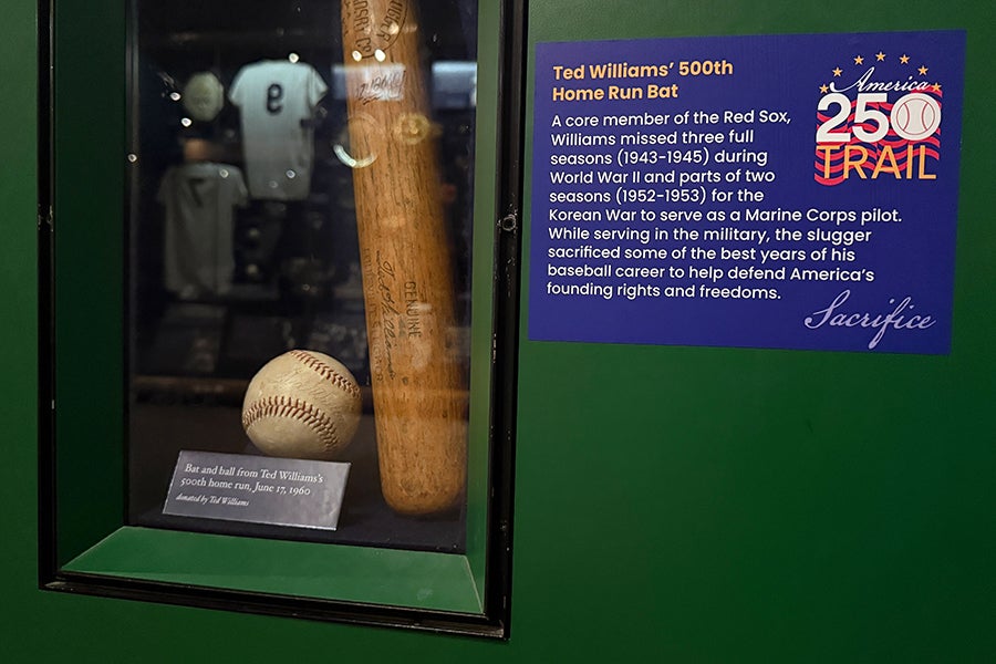 Ted Williams' 500th Home Run Bat