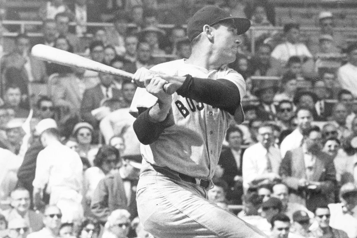Ted Williams bats for Red Sox