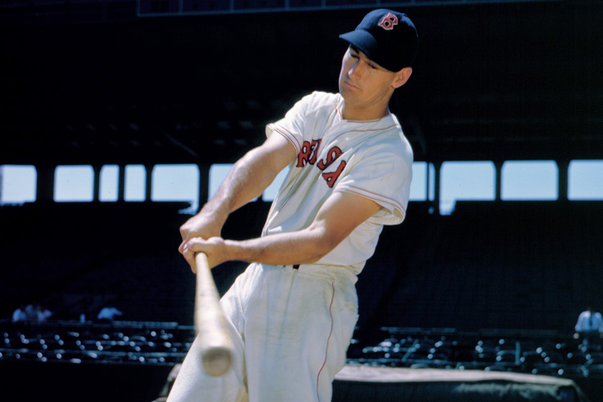 Ted Williams batting portrait