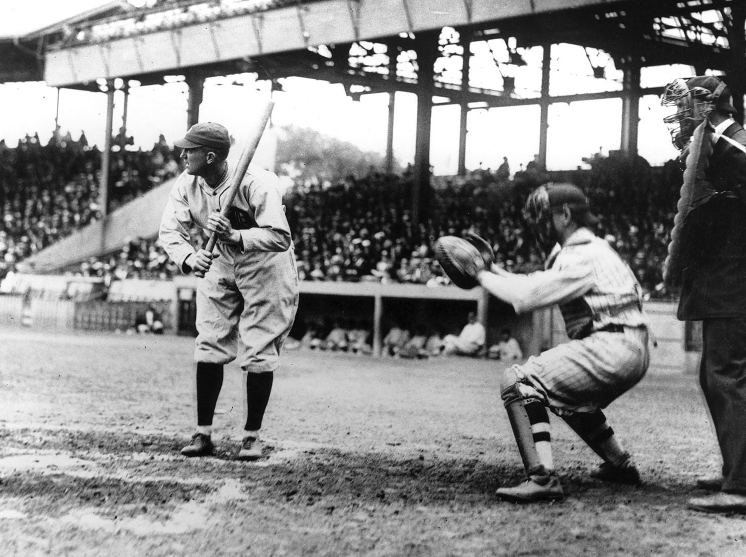 Ty cobb's son herschel cobb image