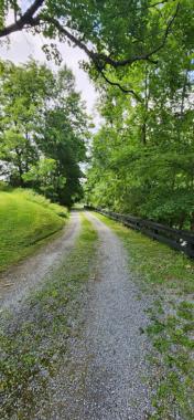 "<p>Driveway</p>